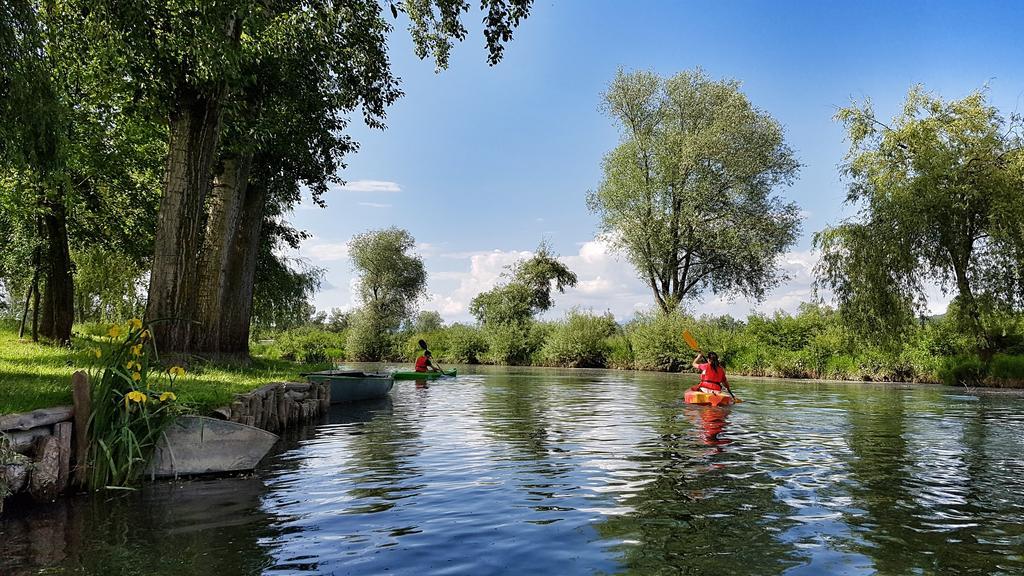 Quartier Sanssouci Hostel Potsdam Dış mekan fotoğraf